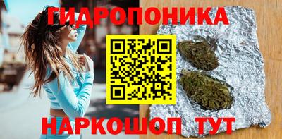 шишки Конаково