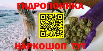 шишки Конаково