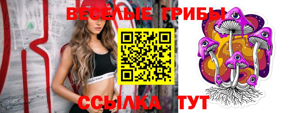 Галлюциногенные грибы Psilocybine cubensis Донской